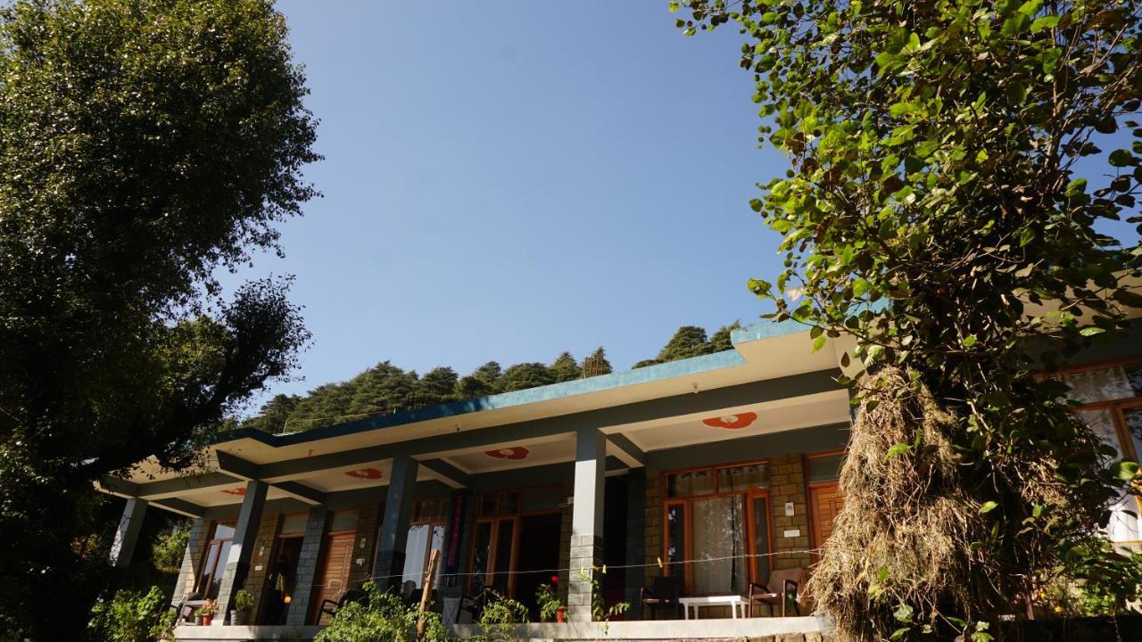 Angela'S Boutique Homes Dharamkot Dharamsala Zewnętrze zdjęcie